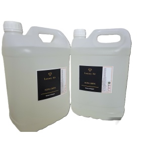 Ambientador ROPA LIMPIA 5L